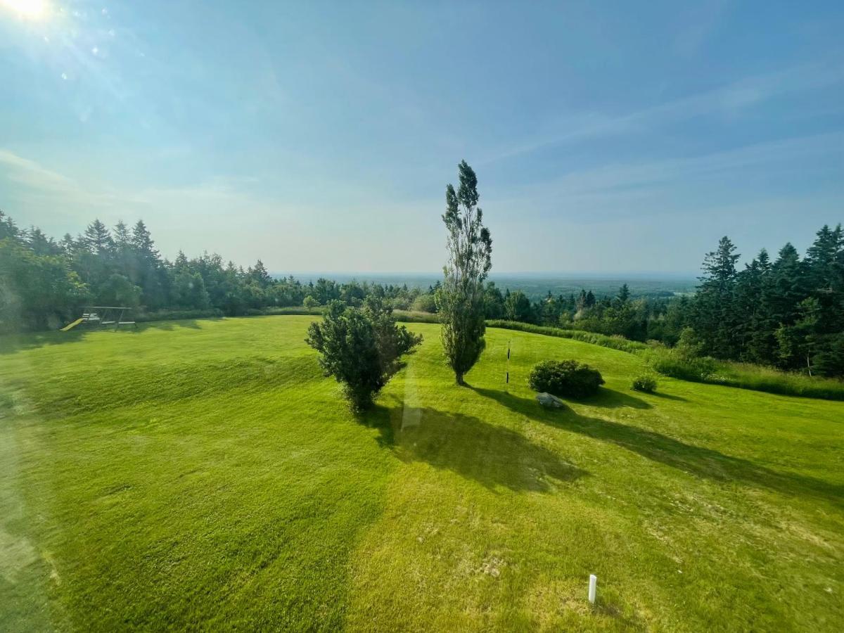 Scenic Motel Moncton Dış mekan fotoğraf