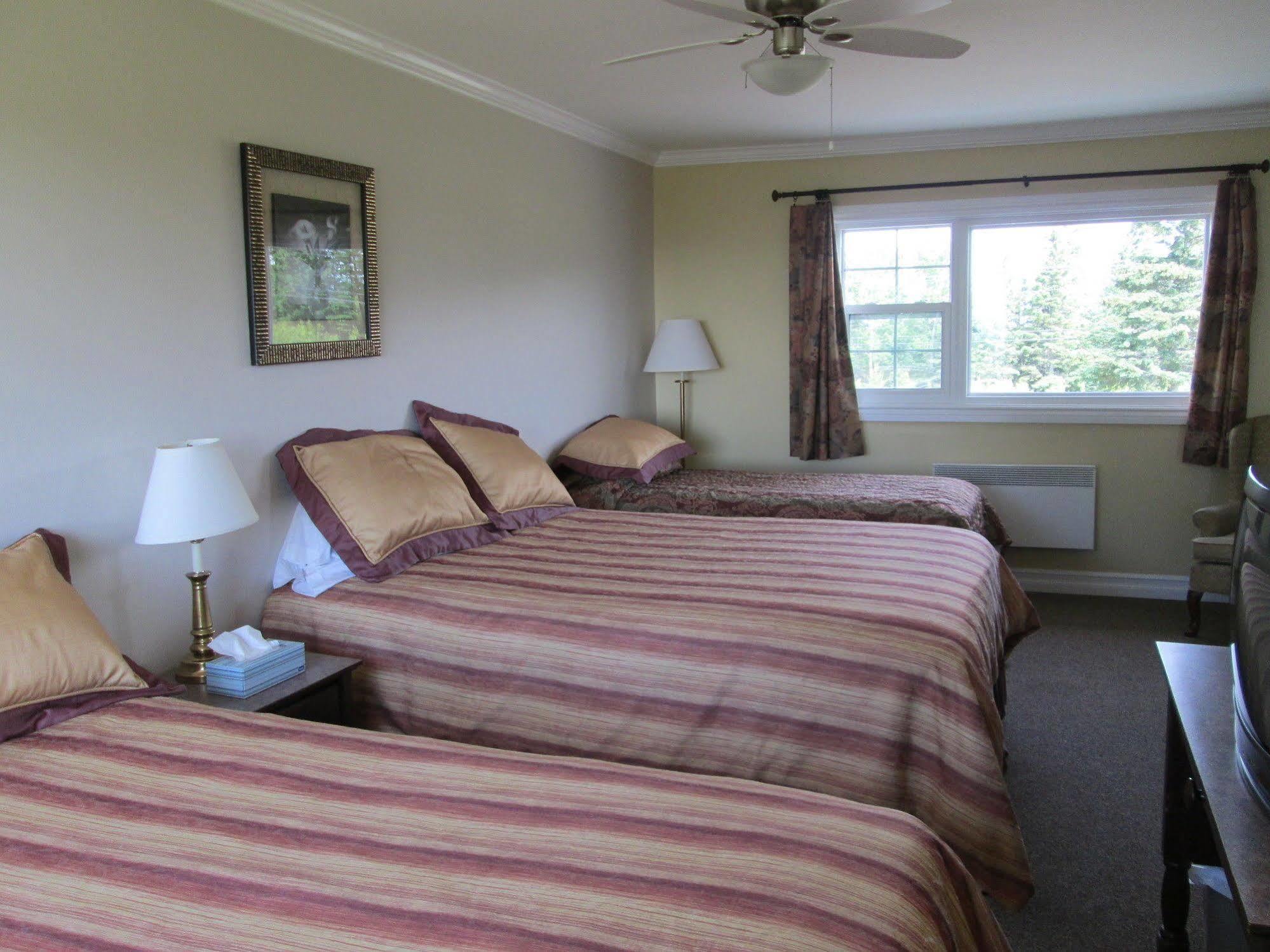 Scenic Motel Moncton Dış mekan fotoğraf